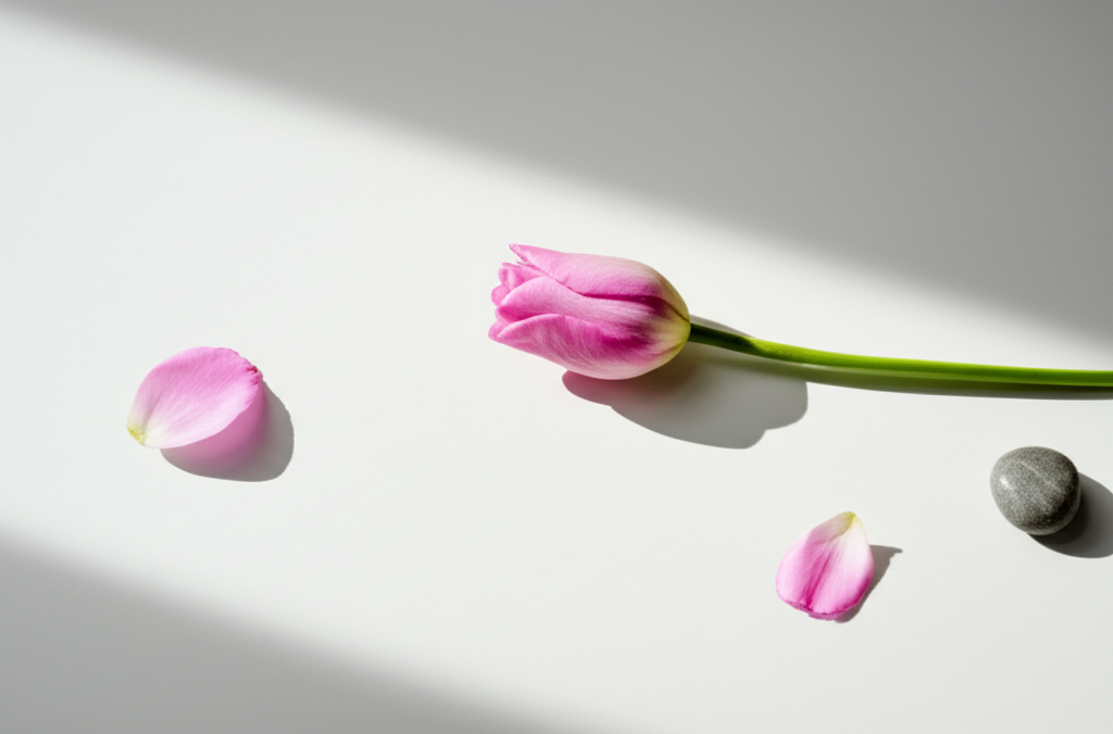 섹션 2 이미지