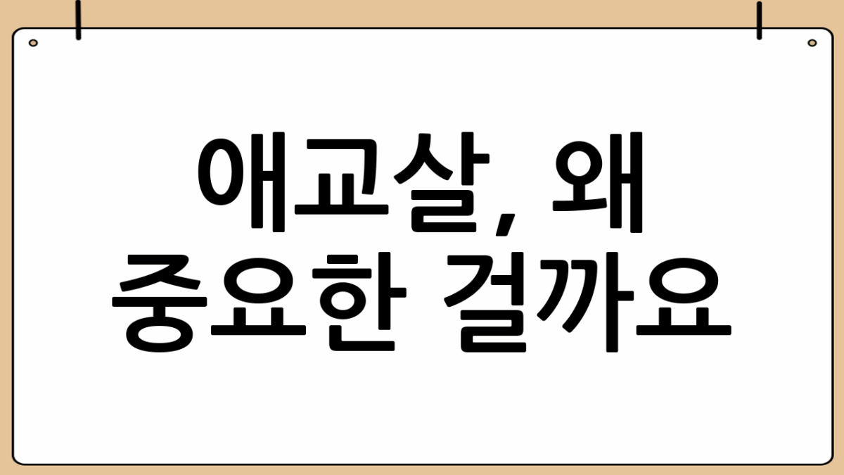 애교살, 왜 중요한 걸까요? 😊