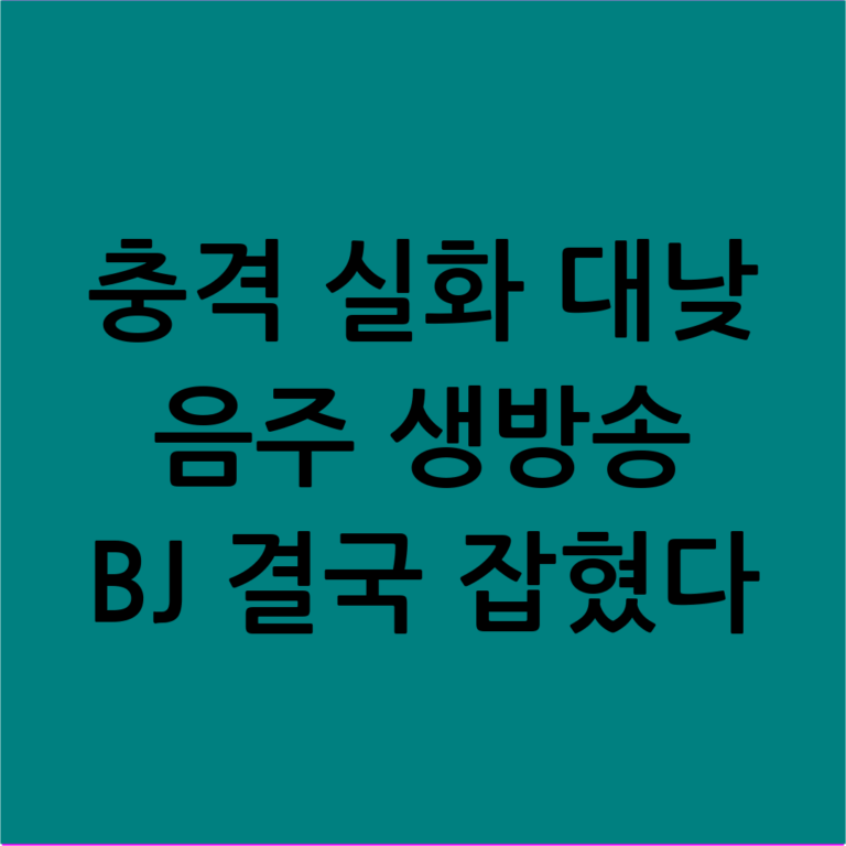대낮 음주운전 생방송 BJ 검거: 사회적 경종