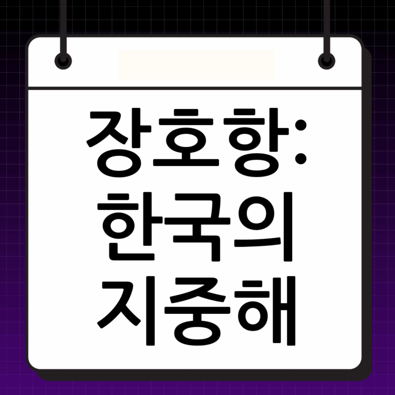 지중해를 닮은 한국의 숨겨진 보석, 장호항으로 떠나는 여행