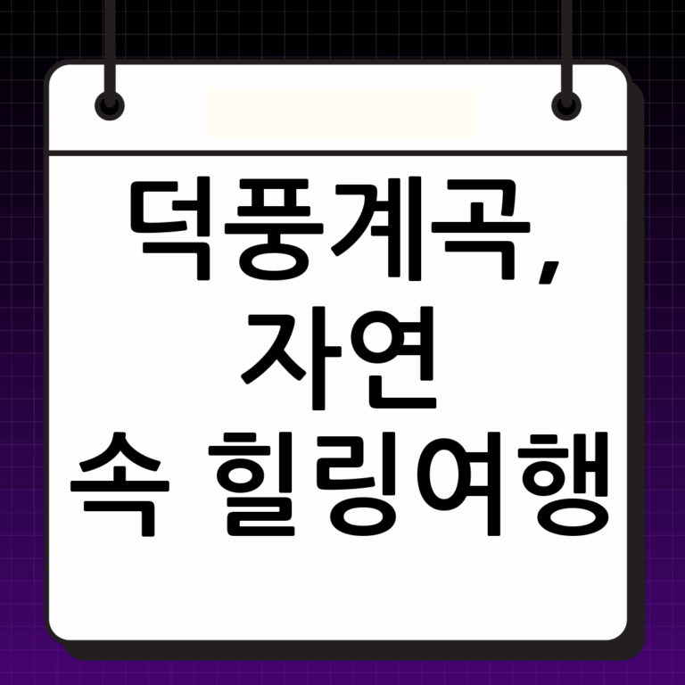 자연의 선물, 덕풍계곡으로 떠나는 힐링 여행