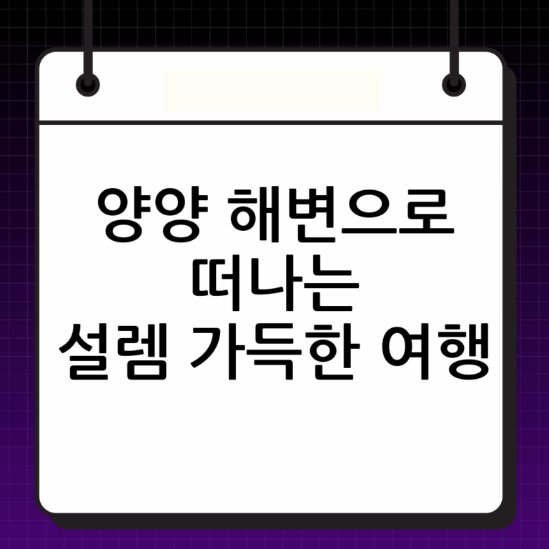 낭만과 활력이 넘치는 곳, 양양해수욕장으로 떠나는 특별한 여행