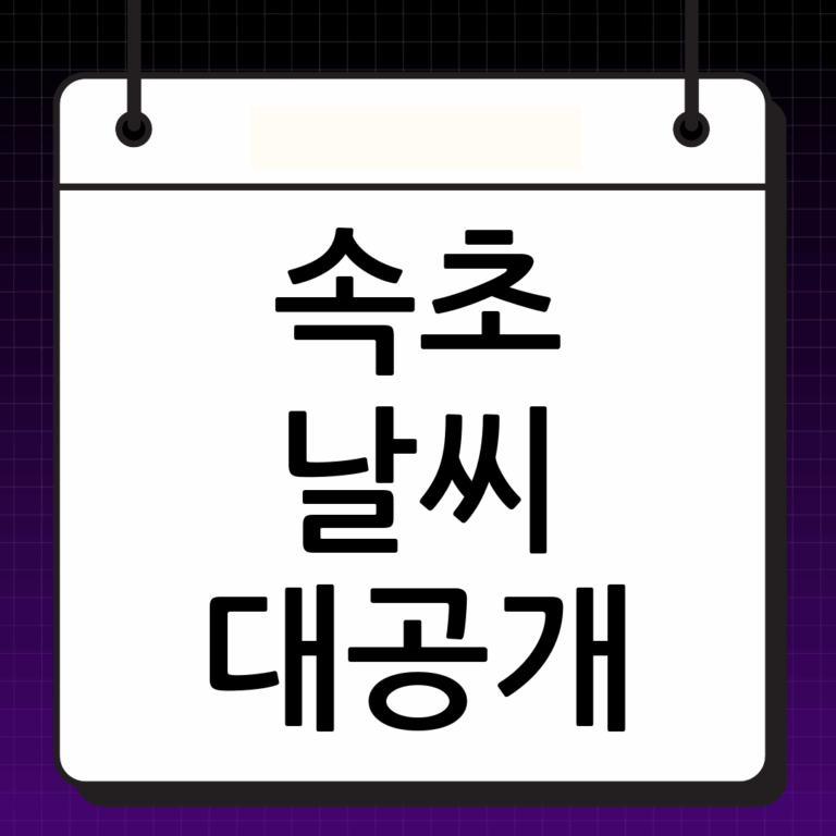 강원도 속초 날씨 상세 정보: 현재 상황과 주간 예보