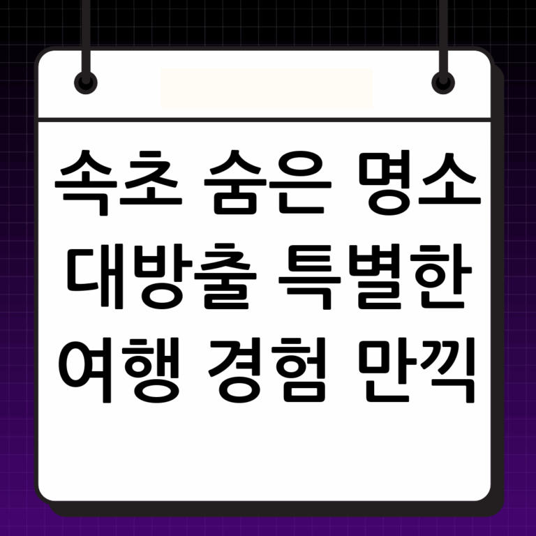 강원도 속초 가볼만한곳: 숨겨진 명소와 특별한 경험