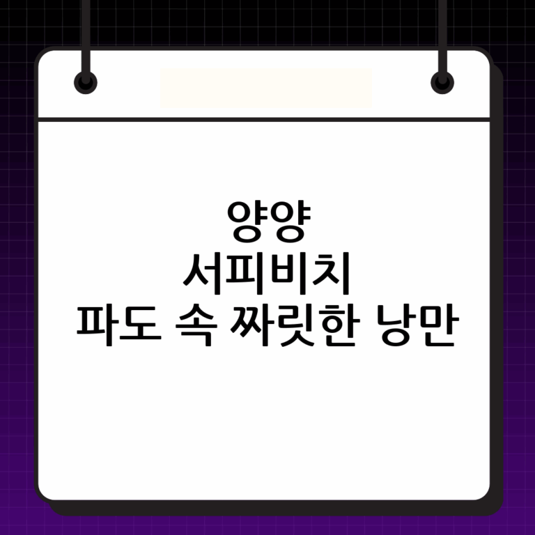 양양 서피비치: 파도와 낭만이 넘실대는 서핑 명소